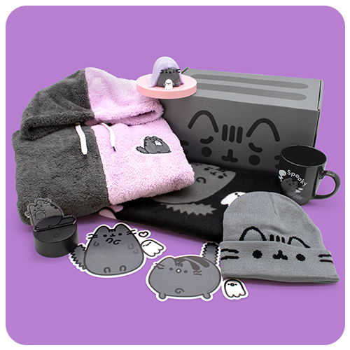 Past Boxes Pusheen Box