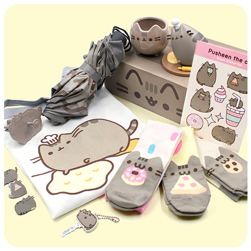 Past Boxes | Pusheen Box